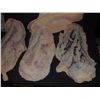 Image 2 : SPLINTER ALIEN CREATURE MONSTER LOT OF 6 INFESTED lEG APPLIANCES