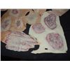 Image 2 : SPLINTER ALIEN CREATURE MONSTER LOT OF 14 INFESTED BODY APPLIANCES