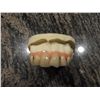 Image 1 : AUSTIN POWERS THE SPY WHO SHAGGED ME & GOLDMEMBER SCREEN USED HERO TEETH