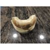 Image 3 : BLADE 2 SCREEN USED HERO VAMPIRE ATTACK FANGS WESLEY SNIPES