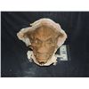 Image 1 : ALIEN DEMON OGRE GREMLIN FULL HEAD MASK UNTRIMMED PULL
