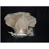 Image 2 : ALIEN DEMON OGRE GREMLIN FULL HEAD MASK UNTRIMMED PULL