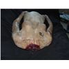 Image 2 : FEMALE UPPER CORPSE WITH SEVERED HEAD