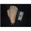Image 1 : I AM LEGEND SILICONE ZOMBIE APPLIANCE