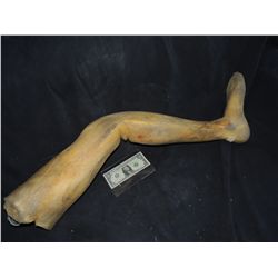 SEVERED FOAM FULL LEFT LEG