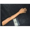 Image 1 : SEVERED URETHANE ARM
