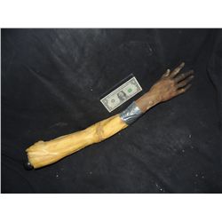 SEVERED FOAM ARM WITH SILICONE HAND