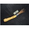 Image 1 : SEVERED FOAM ARM WITH SILICONE HAND