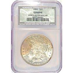 1880 MORGAN DOLLAR BINION COLLECTION