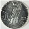 Image 1 : 1993 SILVER AMERICAN EAGLE