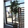 Image 1 : Large brass planter with approx 8F tall artificial