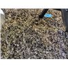 Image 1 : Approx 6F by 8F multi colored beige shag area rug
