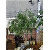 Image 1 : Approx 7F tall artificial tree