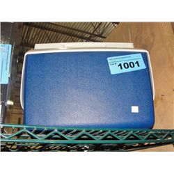 Blue and white igloo picnic cooler