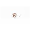 Image 1 : 2012 Year of the Dragon Colorized .999 Silver Coin