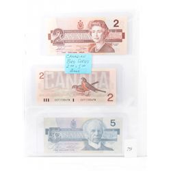 Royal canadian mint bird series $2 and $5 bank