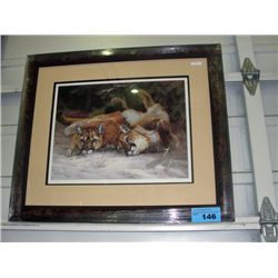 Framed LEP by D J Howes