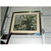 Image 1 : Framed Print by Colin Bogle