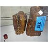 Image 1 : 2pcs of petrified wood