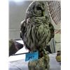 Image 1 : Professional taxidermied owl mount
