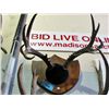 Image 1 : Deer antler wall mount