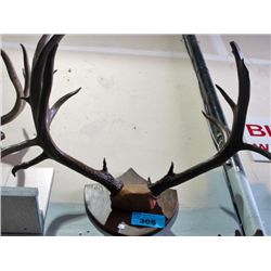 Deer antler wall mount