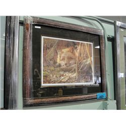 Framed LEP by Denis Mayer Jr