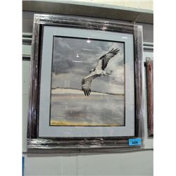 Framed Lep by Charles La France