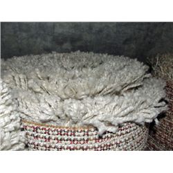 Small off white shag area rug