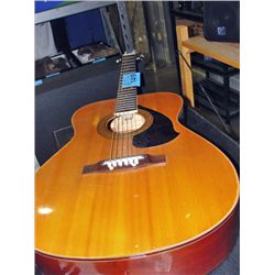 Raven accoustic guitar