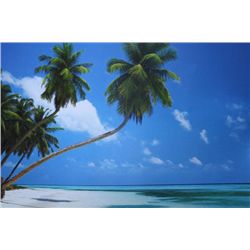 BEAUTIFUL AND PEACEFUL TROPICAL BEACH IMAGE