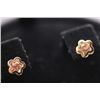 Image 1 : 14K GOLD PLATED CZ STAR EARRINGS