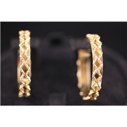 FASHION JEWELRY DESIGNED HOOP EARRINGS