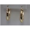 Image 1 : 14K GOLD PLATED HALF LOOP EARRINGS