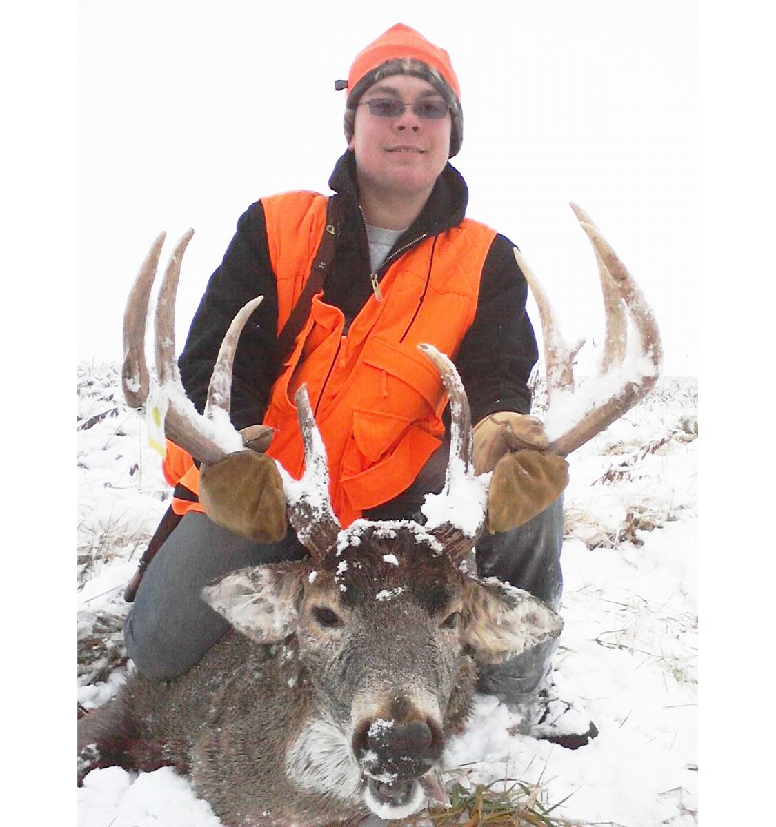 Iowa NonResident Whitetail Deer Tag WSF World Headquarters