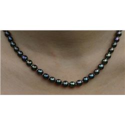 Tahitian Pearl Necklace Strand
