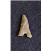 Image 1 : Sahara Neolithic point, measures approx 1 inch