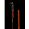 Image 2 : A SWORD CANE Italy, Kingdom, 19th Century