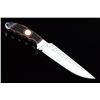 Image 1 : Hunting Bowie Knife