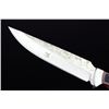 Image 2 : Hunting Bowie Knife