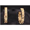 Image 1 : FASHION JEWELRY DESIGNED HOOP EARRINGS