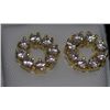 Image 1 : CZ FASHION JEWELRY EARRING