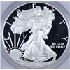 Image 2 : 2013-W PROOF AMERICAN SILVER EAGLE, PCGS PR-69 DCAM