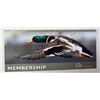 Image 11 : Mossberg Model 535 ATS Turkey/Waterfowl Combo Shotgun 12 gauge Serial # AT177018