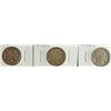 Image 1 : 3-1919 BUFFALO NICKELS "GRADING SET" (AG,GOOD,VG)