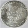 Image 2 : 2009 SILVER AMERICAN EAGLE