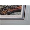 Image 2 : LAWRENCE A. DYER, "GREAT GREY OWLS", LIMITED EDITION FRAMED PRINT 643/950 36"W X 30"H