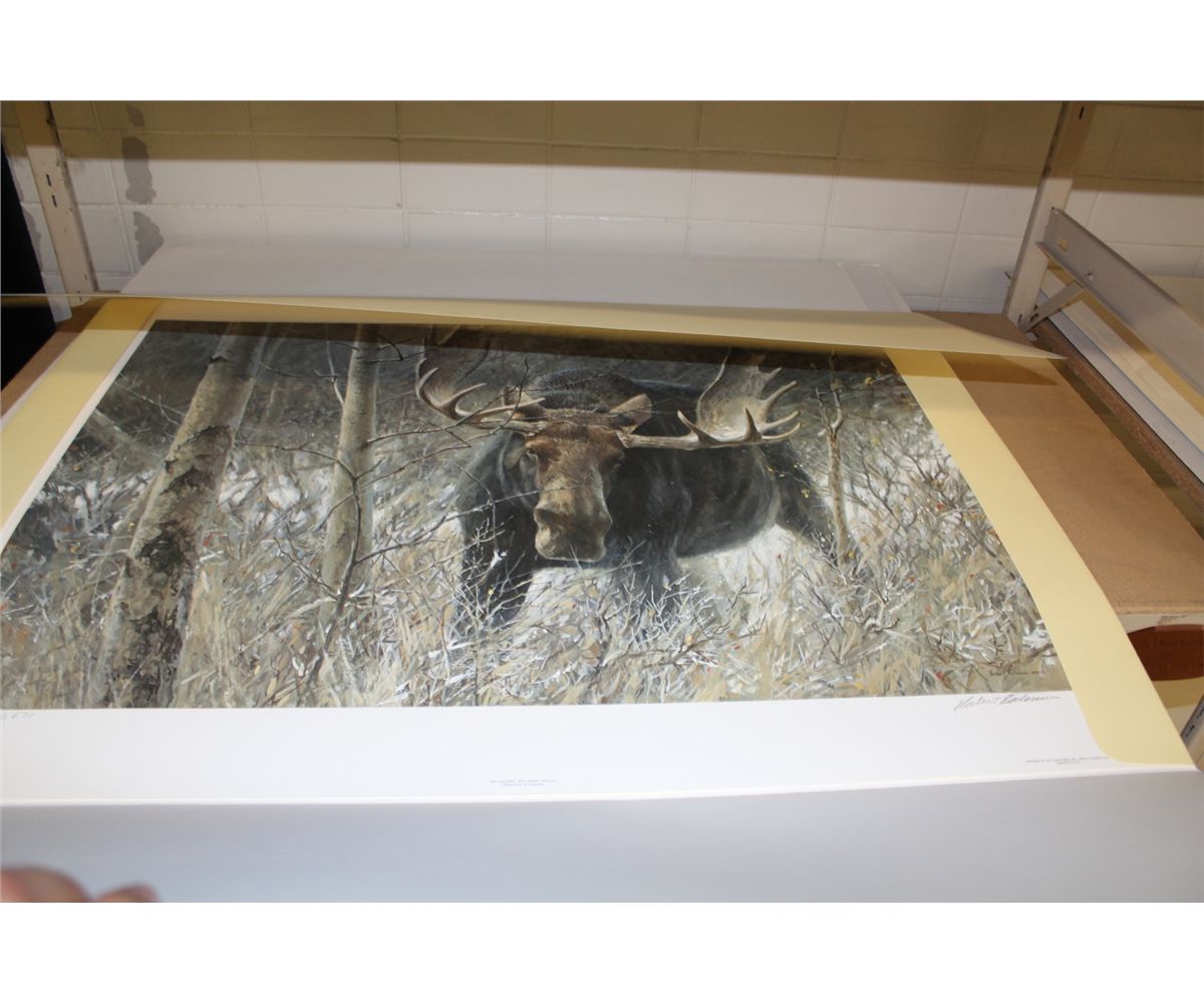 Bateman Moose ROBERT BATEMAN