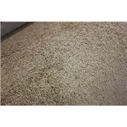 LARGE ROLL OF LIGHT BROWN MEDIUM SHAG CARPET