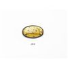 Image 1 : Amber brooch with insect larvae present